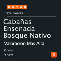 Traveller Review Award 2021