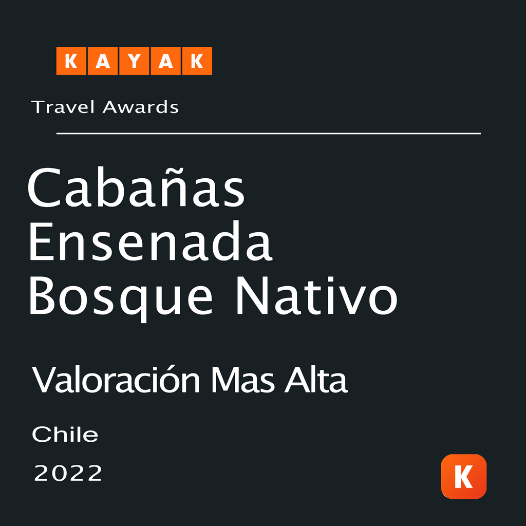 Traveller Review Award 2021