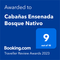 Traveller Review Award 2021