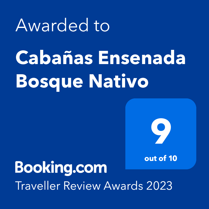 Traveller Review Award 2021